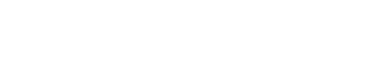 University of South Florida